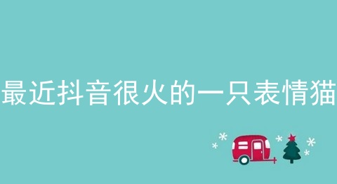 最近抖音很火的一只表情猫