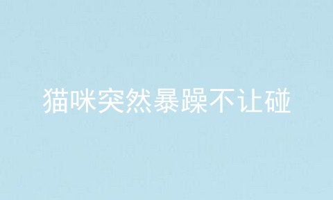 猫咪突然暴躁不让碰