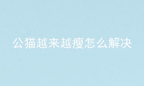 公猫越来越瘦怎么解决