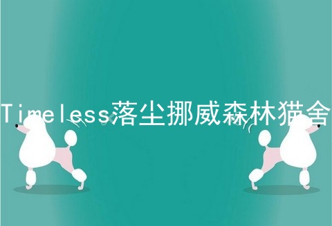 Timeless落尘挪威森林猫舍