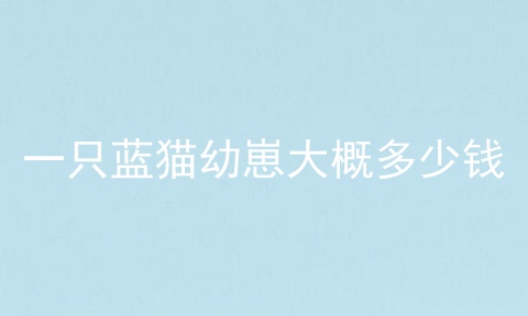 一只蓝猫幼崽大概多少钱