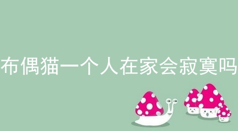 布偶猫一个人在家会寂寞吗