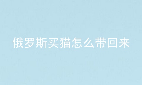 俄罗斯买猫怎么带回来