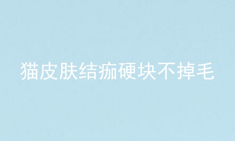 猫皮肤结痂硬块不掉毛