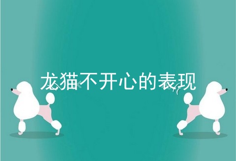 龙猫不开心的表现