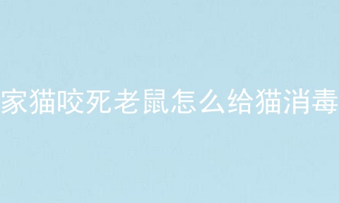 家猫咬死老鼠怎么给猫消毒