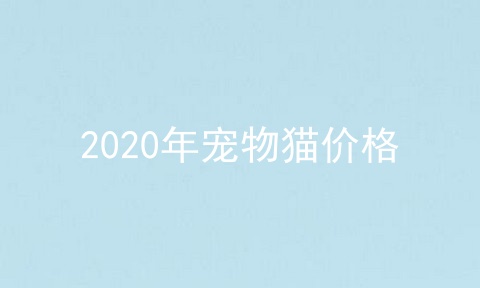 2020年宠物猫价格