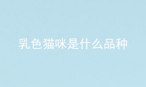 乳色猫咪是什么品种