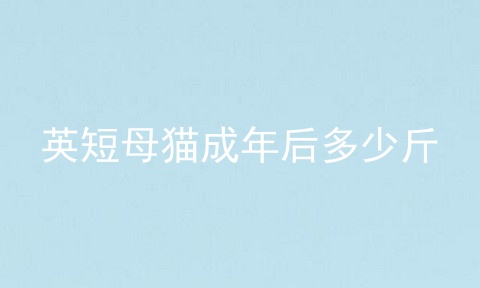 <a href=/cat/13.html target=_blank class=infotextkey>英短</a>母猫成年后多少斤