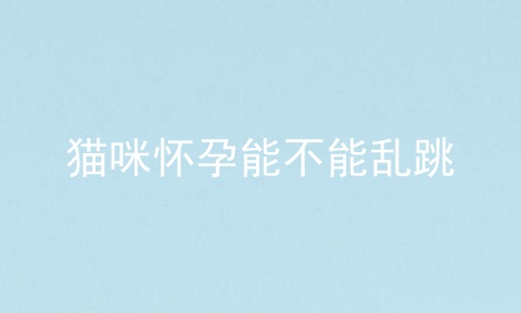 猫咪怀孕能不能乱跳