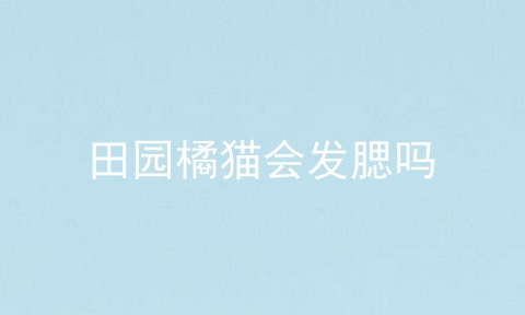 田园橘猫会发腮吗