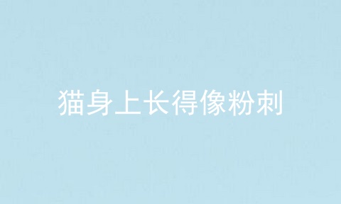 猫身上长得像粉刺