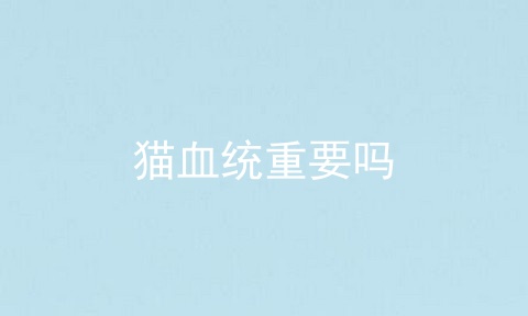 猫血统重要吗