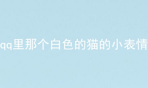 qq里那个白色的猫的小表情