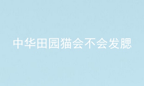 中华田园猫会不会发腮