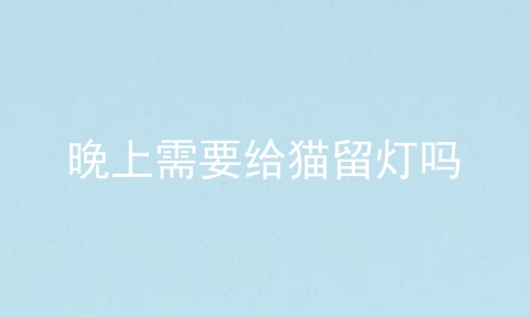 晚上需要给猫留灯吗