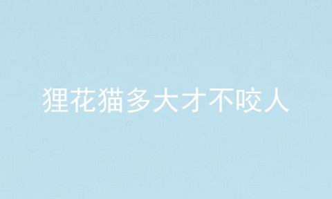 狸花猫多大才不咬人