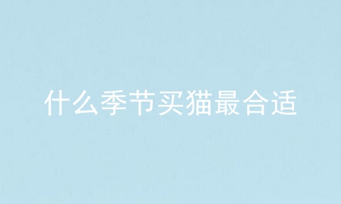 什么季节买猫最合适