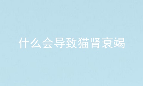 什么会导致猫肾衰竭
