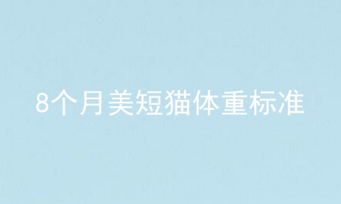 8个月美短猫体重标准