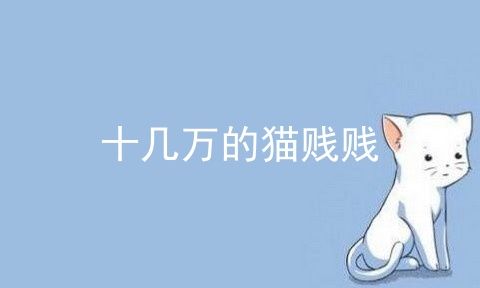 十几万的猫贱贱