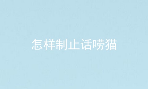 怎样制止话唠猫