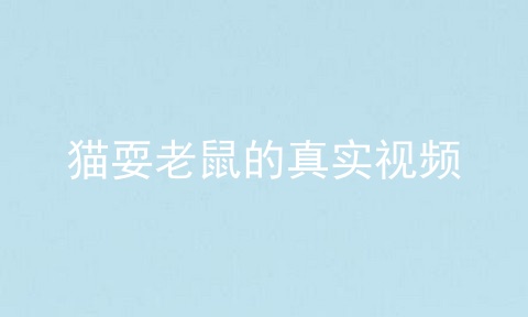 猫耍老鼠的真实视频