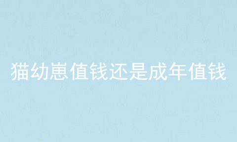 猫幼崽值钱还是成年值钱