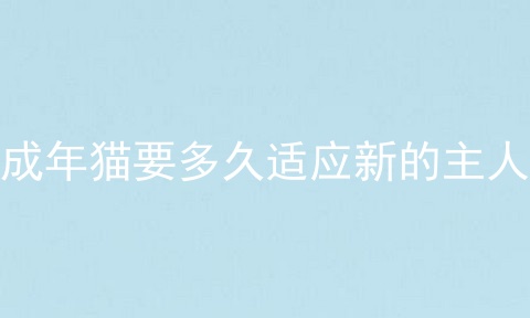 成年猫要多久适应新的主人