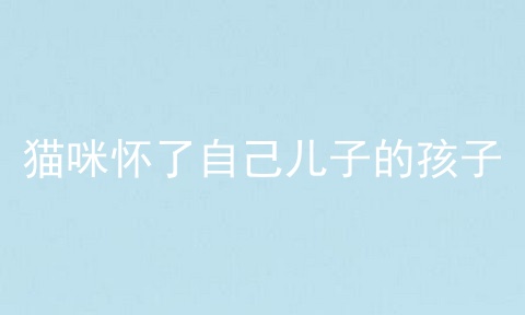 猫咪怀了自己儿子的孩子
