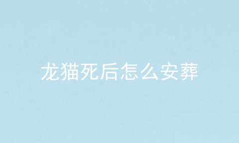 龙猫死后怎么安葬