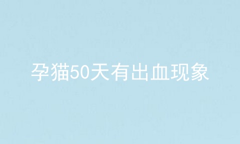 孕猫50天有出血现象