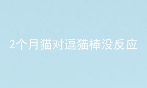 2个月猫对逗猫棒没反应