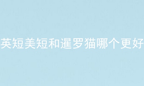 英短美短和暹罗猫哪个更好