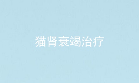 猫肾衰竭治疗