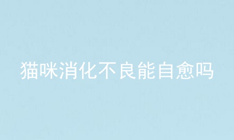 猫咪消化不良能自愈吗