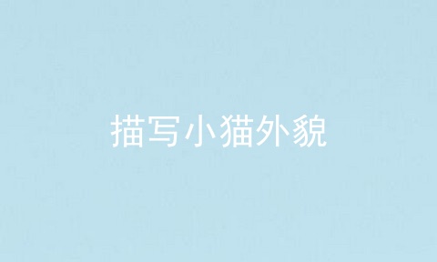 描写小猫外貌