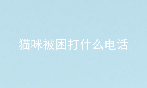 猫咪被困打什么电话