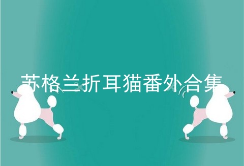 苏格兰折耳猫番外合集
