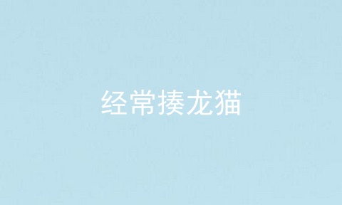 经常揍龙猫