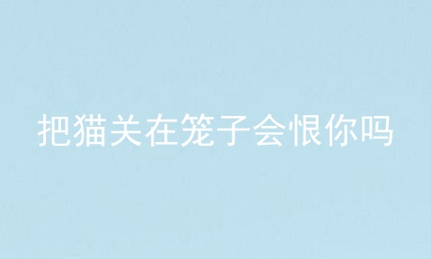 把猫关在笼子会恨你吗