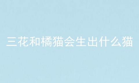 三花和橘猫会生出什么猫