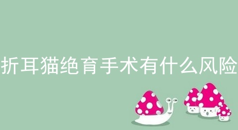 折耳猫绝育手术有什么风险