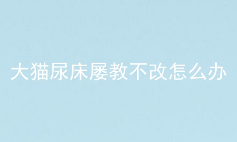 大猫尿床屡教不改怎么办