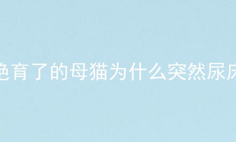 绝育了的母猫为什么突然尿床