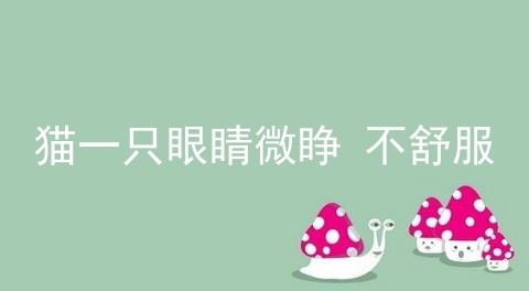 猫一只眼睛微睁 不舒服