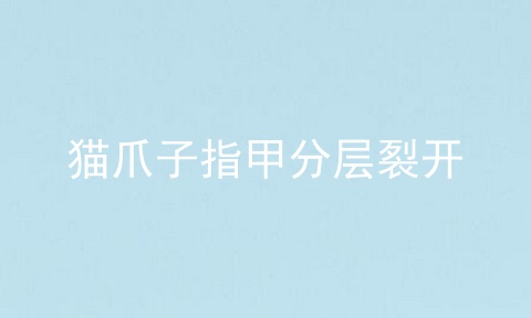 猫爪子指甲分层裂开