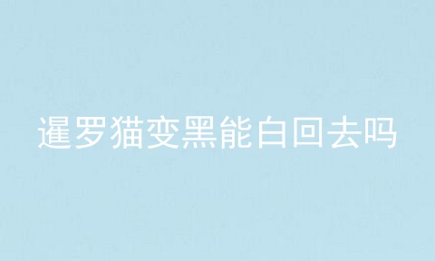 暹罗猫变黑能白回去吗