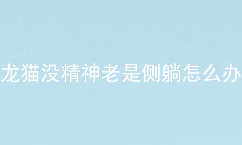 龙猫没精神老是侧躺怎么办