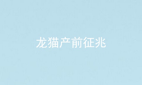 龙猫产前征兆